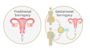 妊娠代孕和传统代孕