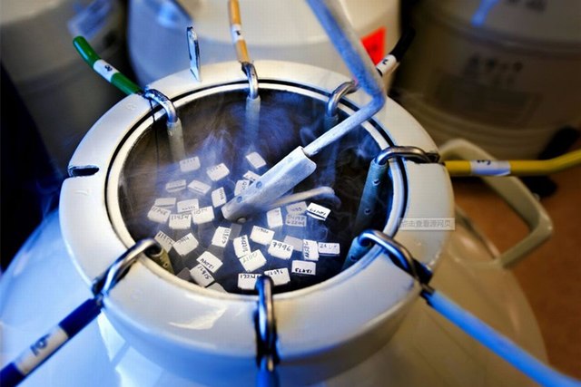 Be Parent的负责人分享冷冻卵子的故事