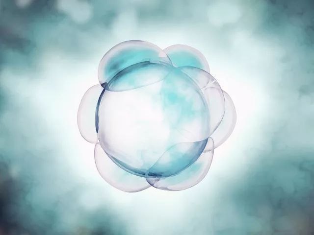 生育力保存——为您的家庭和生育能力做未来保障