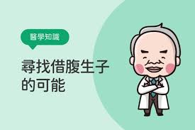 借腹生子  代孕