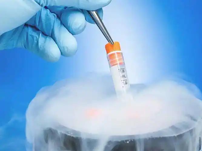 试管婴儿为什么要冻卵