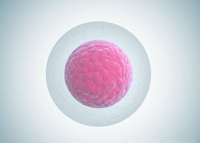 准妈妈们为何排斥卵子捐赠？该怎么应对这种情绪？