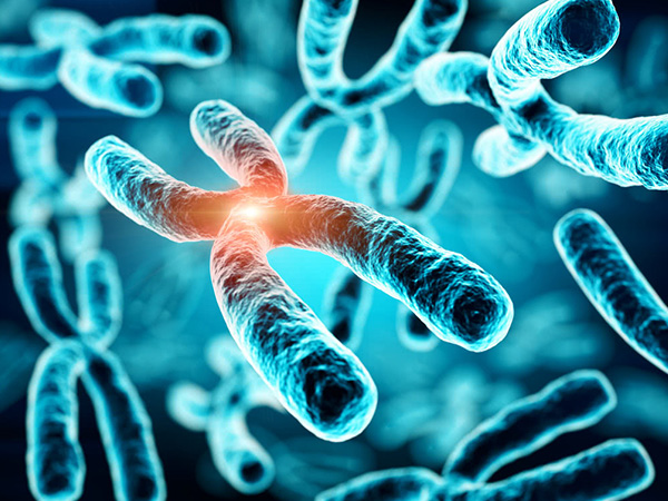 试管婴儿为什么做染色体检查