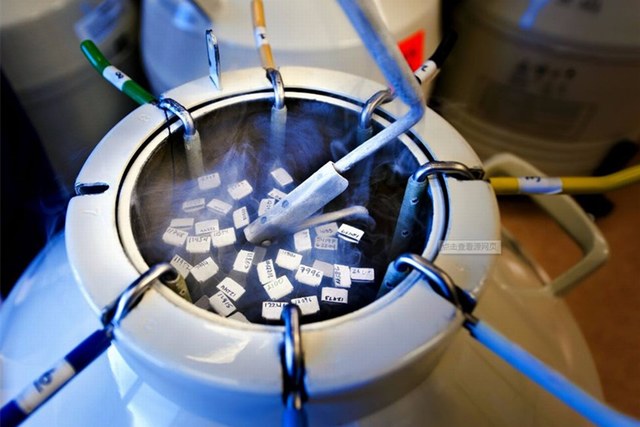 代孕词汇表：每位同志父亲都应该知道的术语