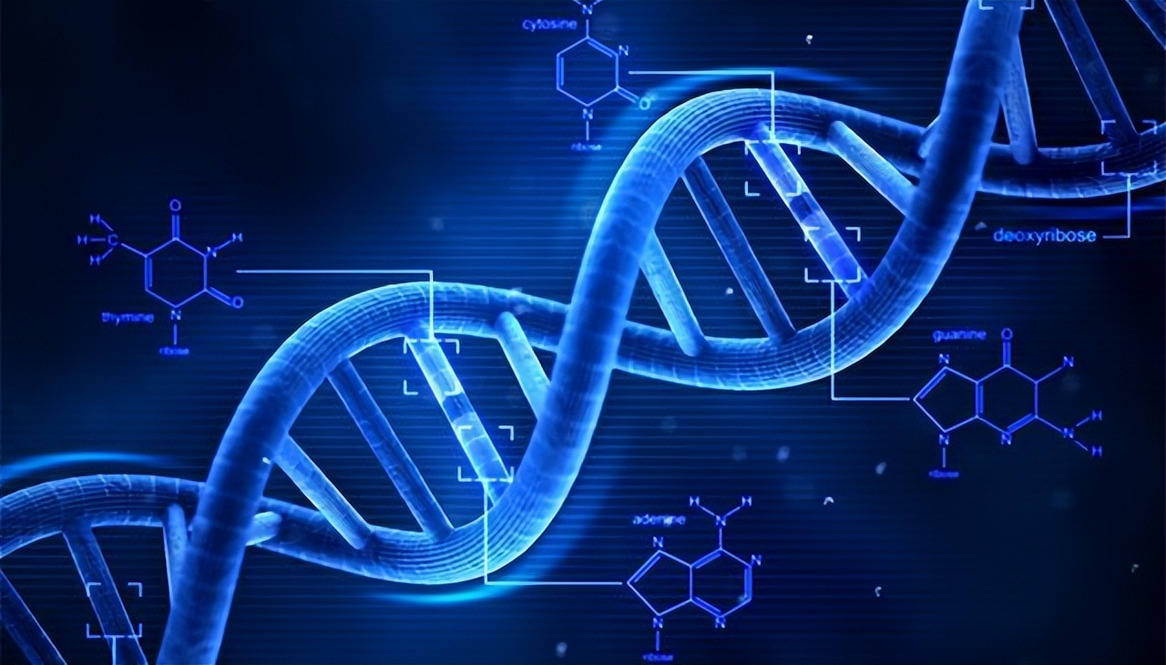 基因出问题怎么试管婴儿