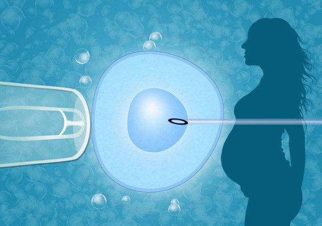 体外受精（IVF）的成功率是多少？
