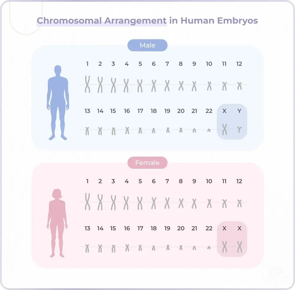 三代试管PGT-A技术是什么？谁应该考虑它？