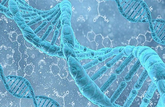 PGT-A检测流程：详解6个关键步骤