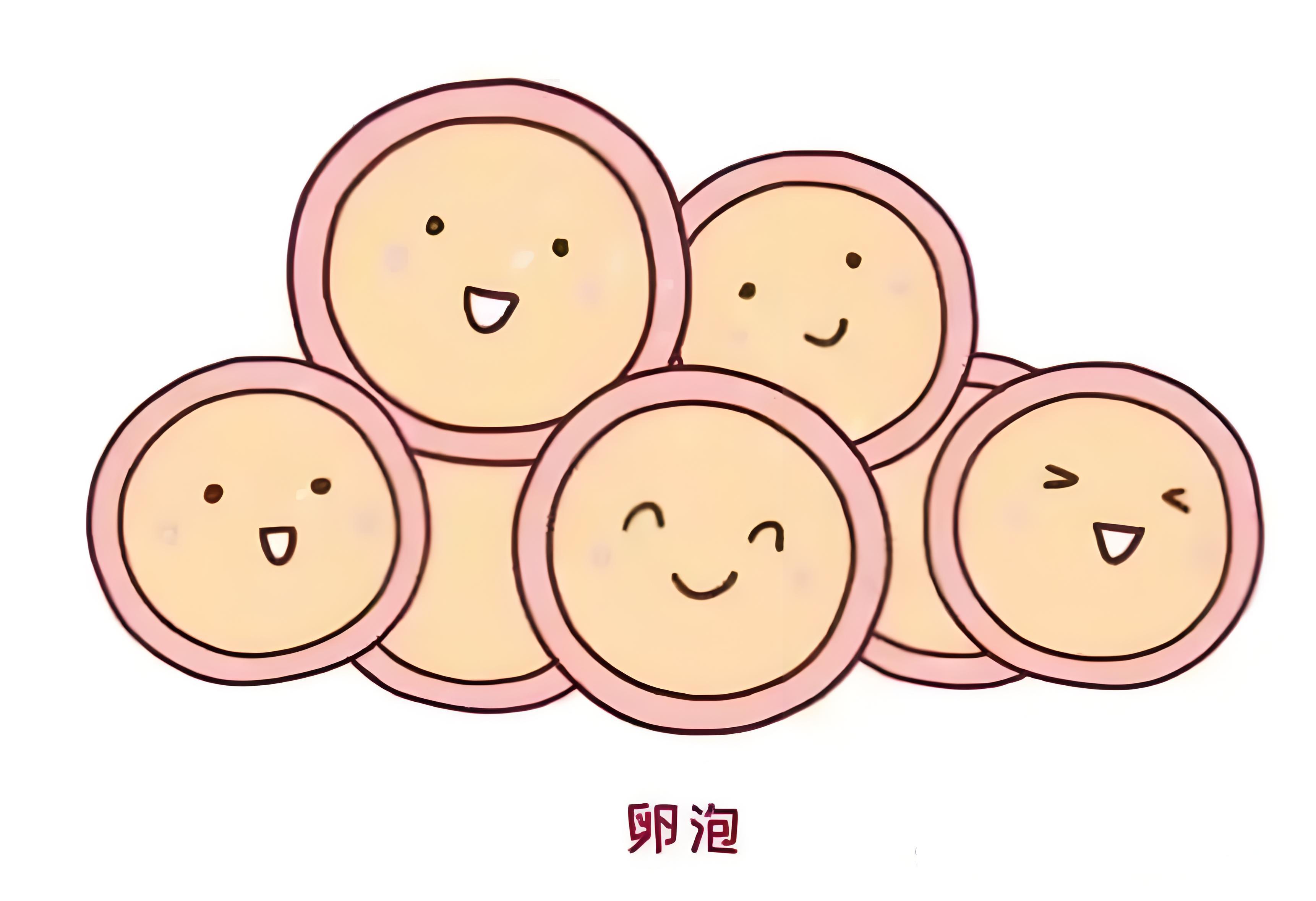 试管婴儿卵泡怎么监测