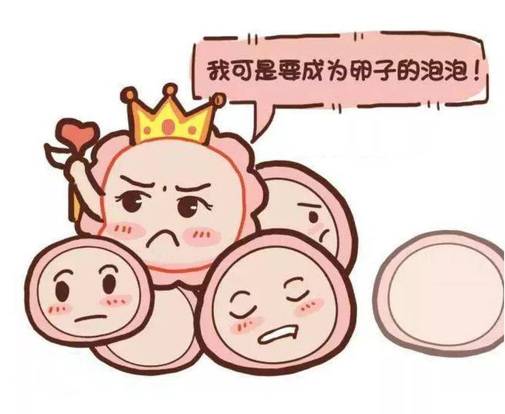 试管婴儿卵泡怎么冷冻