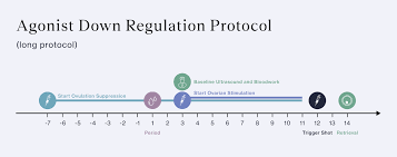 三代试管IVF 长方案