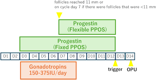 三代试管 PPOS方案