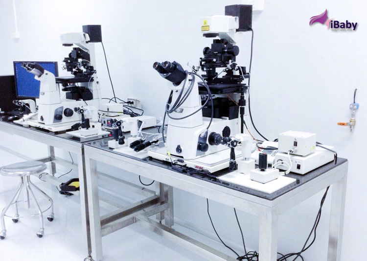 泰国代孕费用大概是多少？有何优势？