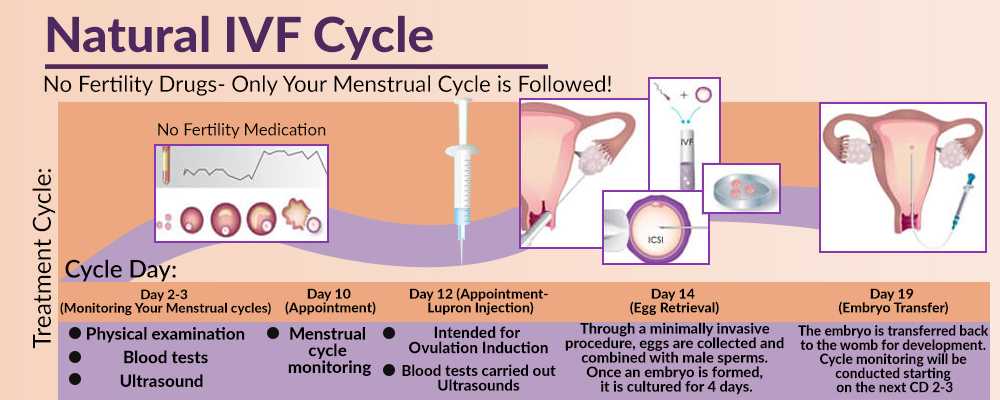 三代试管 自然周期方案
