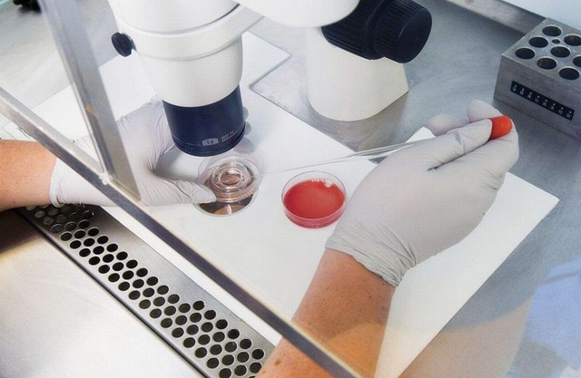 究竟哪些因素，会影响试管婴儿的成功率？