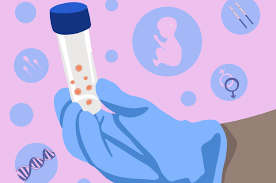 美国冻卵 冷冻卵子