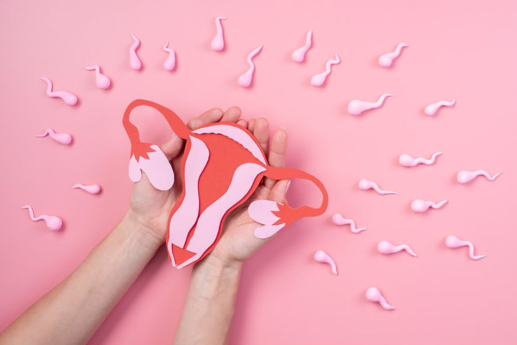 什么是宫腔内人工授精(IUI)