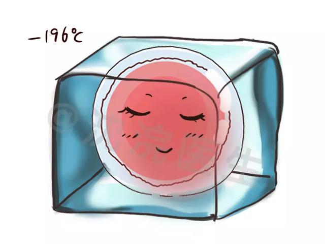 冻卵几颗才够