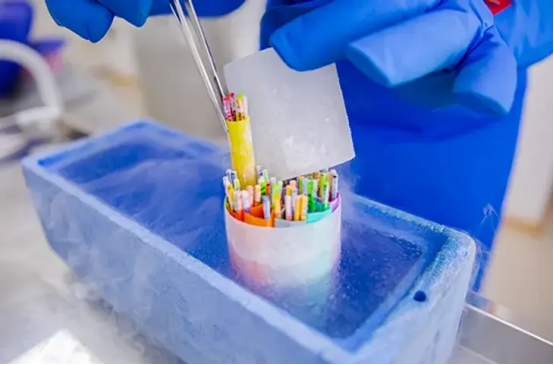 了解胚胎冷冻运输背后的科学与争议