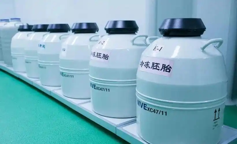 关于胚胎运输的未来趋势和常见问题解答