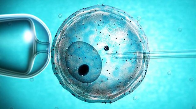 第三代试管婴儿能提前筛查哪些遗传疾病？