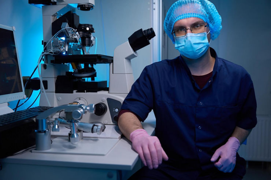 胚胎等级为何如此重要?其实际影响是什么?