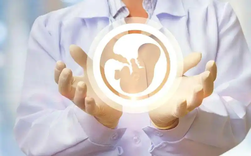 三代试管成功率