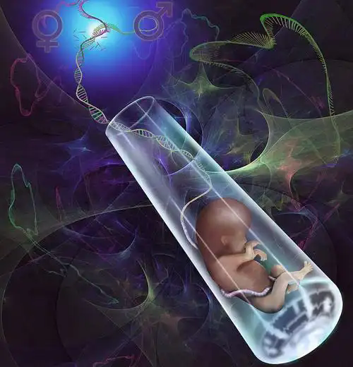 试管婴儿移植后出血