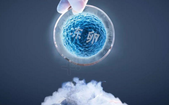 冷冻卵子与冷冻胚胎：有何区别?