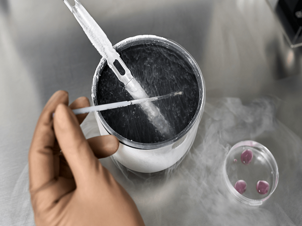 冷冻卵子与冷冻胚胎：有何区别?