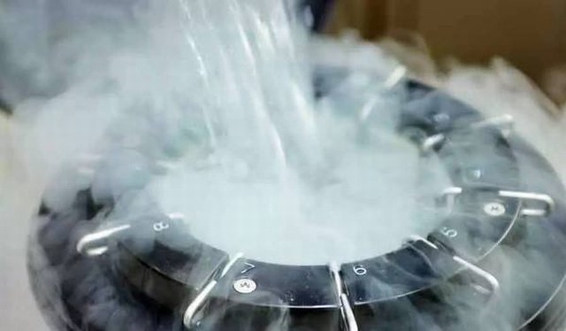 关于冷冻卵子的常见问题有哪些?