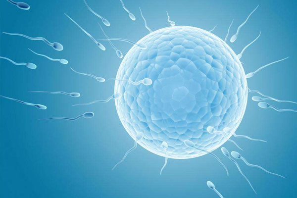 精子质量差会怎样?忽视精子质量的隐性成本有哪些?
