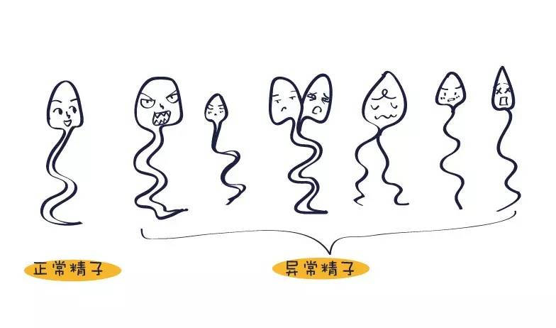 精子质量差选择试管代孕前应该做什么?