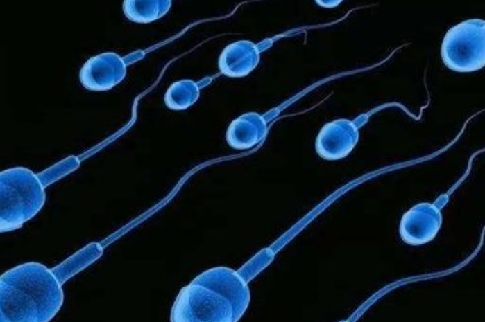 试管代孕周期中男性的精子质量至关重要