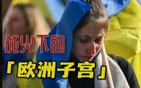 战火下的欧洲子宫.jpg