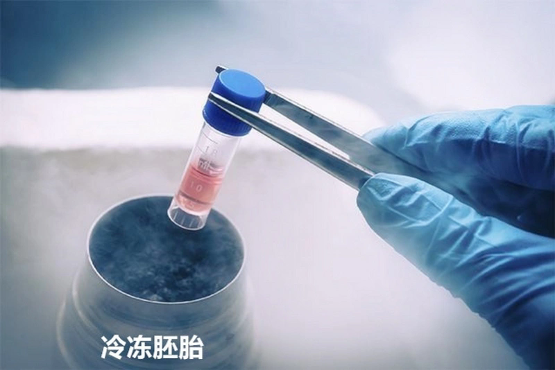 胚胎冷冻与复苏