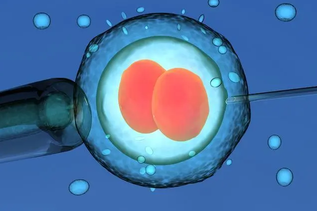 胚胎等级越高试管婴儿成功就越高吗?