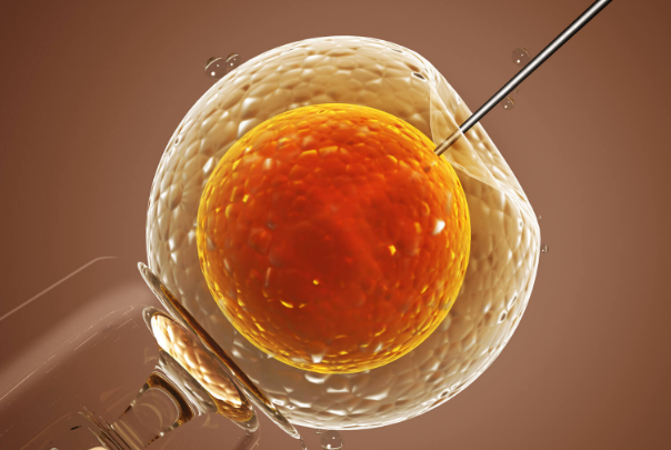 三代试管囊胚移植成功率为什么高?