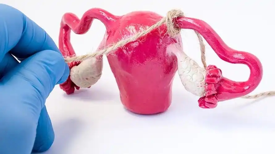 双角子宫，第三代试管婴儿如何保障成功率?