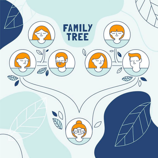 代孕妈妈会和宝宝共享血液吗?科学解读