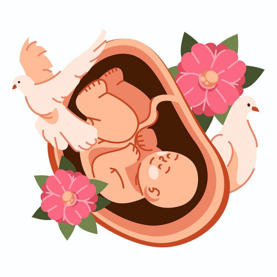 代孕妈妈会和宝宝共享血液吗?科学解读