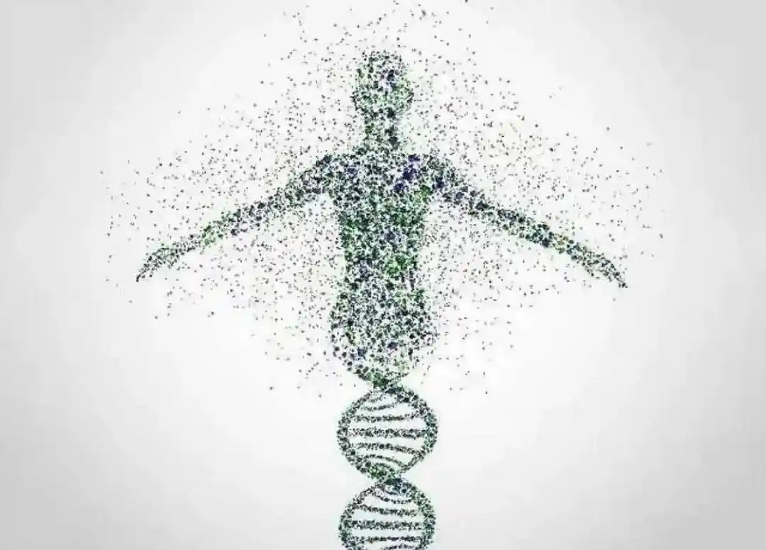 第三代试管婴儿