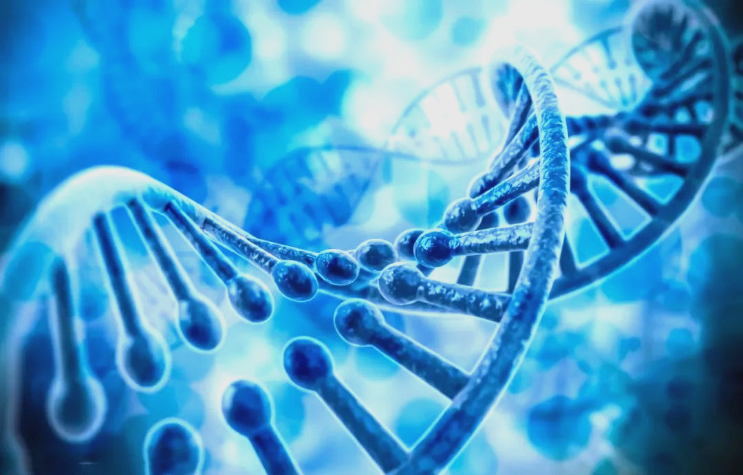 遗传病基因检测