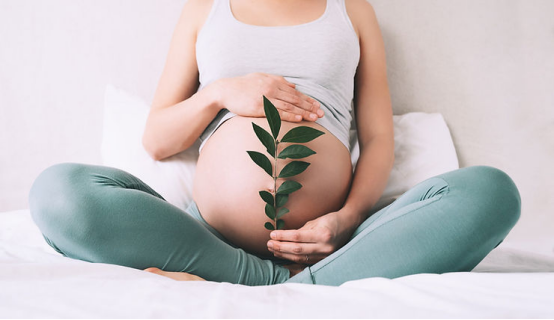 试管婴儿双胞胎妊娠的风险和注意事项