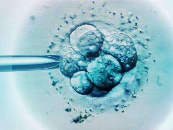 为什么选择 PGT-A?PGT-A(胚胎植入前非整倍体遗传检测)相关知识详解