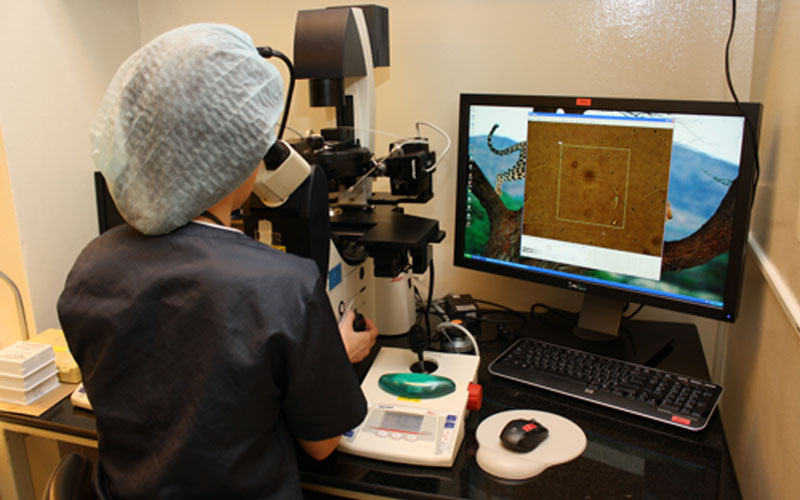 代孕操作全流程解析：从咨询到分娩的步骤指南