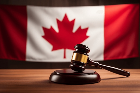 了解加拿大代孕的真实成本