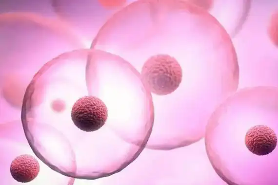 试管取卵与卵巢早衰