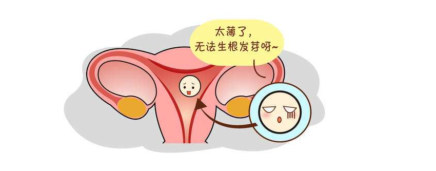 教你把薄内膜养好