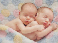 关于乌克兰代孕的详细信息